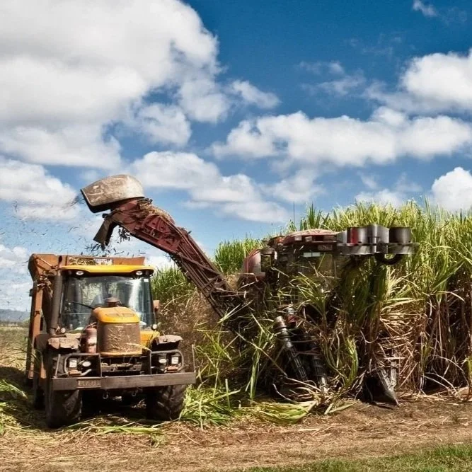 According to Agriculture Commissioner Dr. Mike Strain, 2026 Louisiana Sugarcane Harvesting Season is Going Well