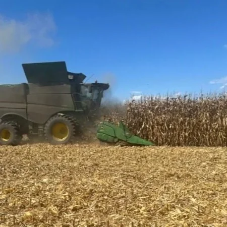 USDA Raises Corn Yield Estimate, Pressures Grain Markets