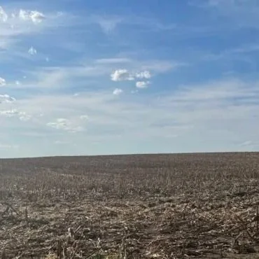 Farmland Value Expectations Reach Record High in Latest Ag Economy Barometer