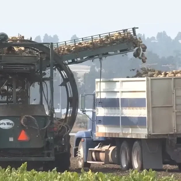 Celebrating the Sweetest Farmers in America
