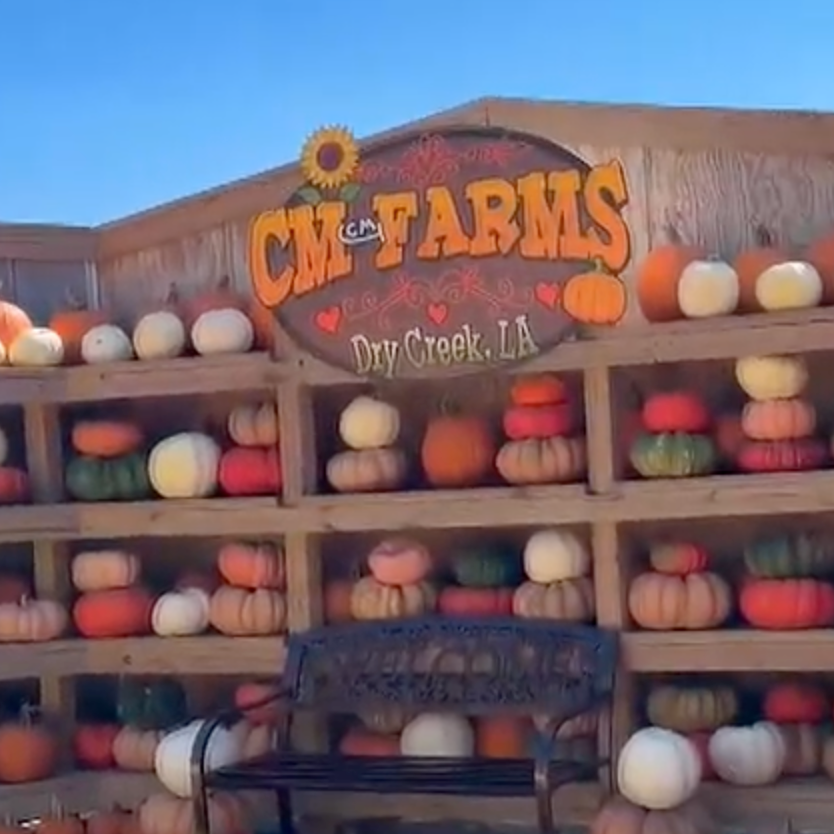 CM Farms Celebrates America’s 250th Birthday With Fall Attractions in Dry Creek