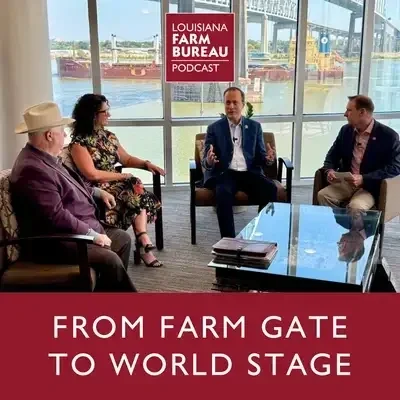 From Farm Gate to World Stage: How Ports and Freight Keep Agriculture Moving