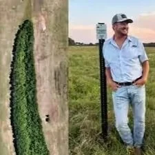 A Louisiana Landowner Bought 300 Acres to Raise Cattle, but Repeated Floods Changed his Plans; he is Now Restoring Wetlands and Planting 183 Acres of Forest to Connect Wildlife Habitats