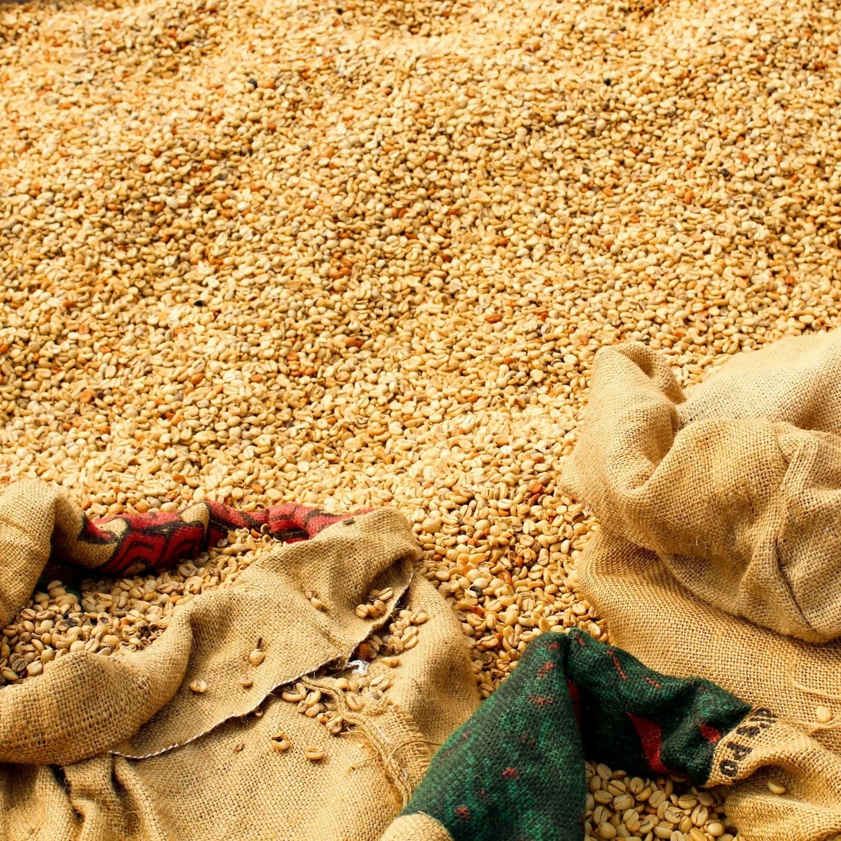 USDA Launches Export Grain Inspection Dashboard