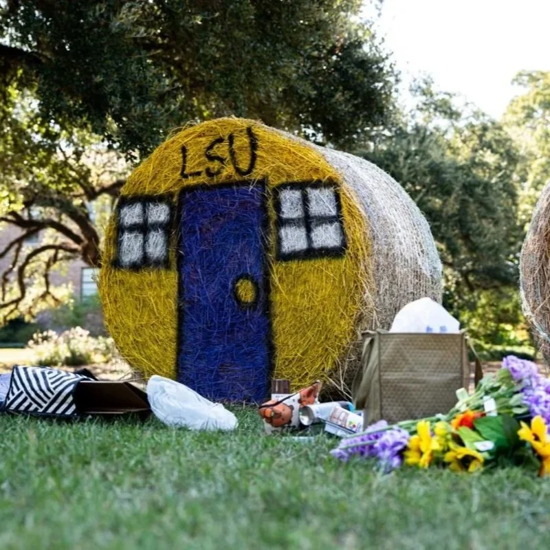 LSU’s Agricultural Student Organizations Competed in Annual Hay Bale Decorating Contest