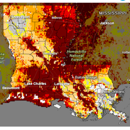 Drought Intensifying Across Louisiana
