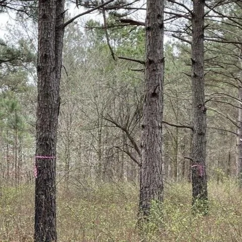 USDA Natural Resources Conservation Service in Louisiana Announces Regional Conservation Partnership Program 2027 Signup Dates