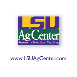 Louisiana Crops Newsletter: October 2026