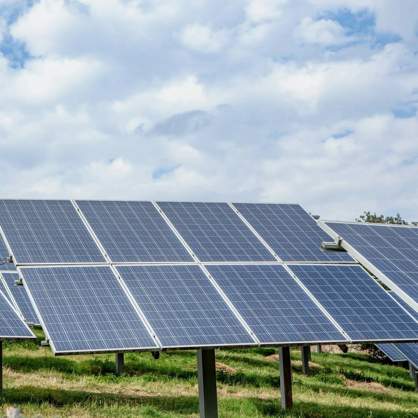 Vernon Parish Clears Path for 10,000-acre Treaty Oak Solar Installation Near Pitkin