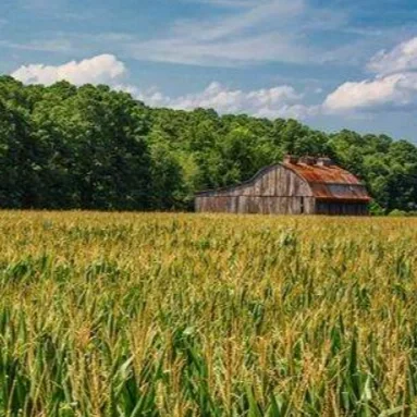 USDA Rural Development Invests $25B to Strengthen Rural Communities Nationwide, Includes $1B for Rural Louisiana