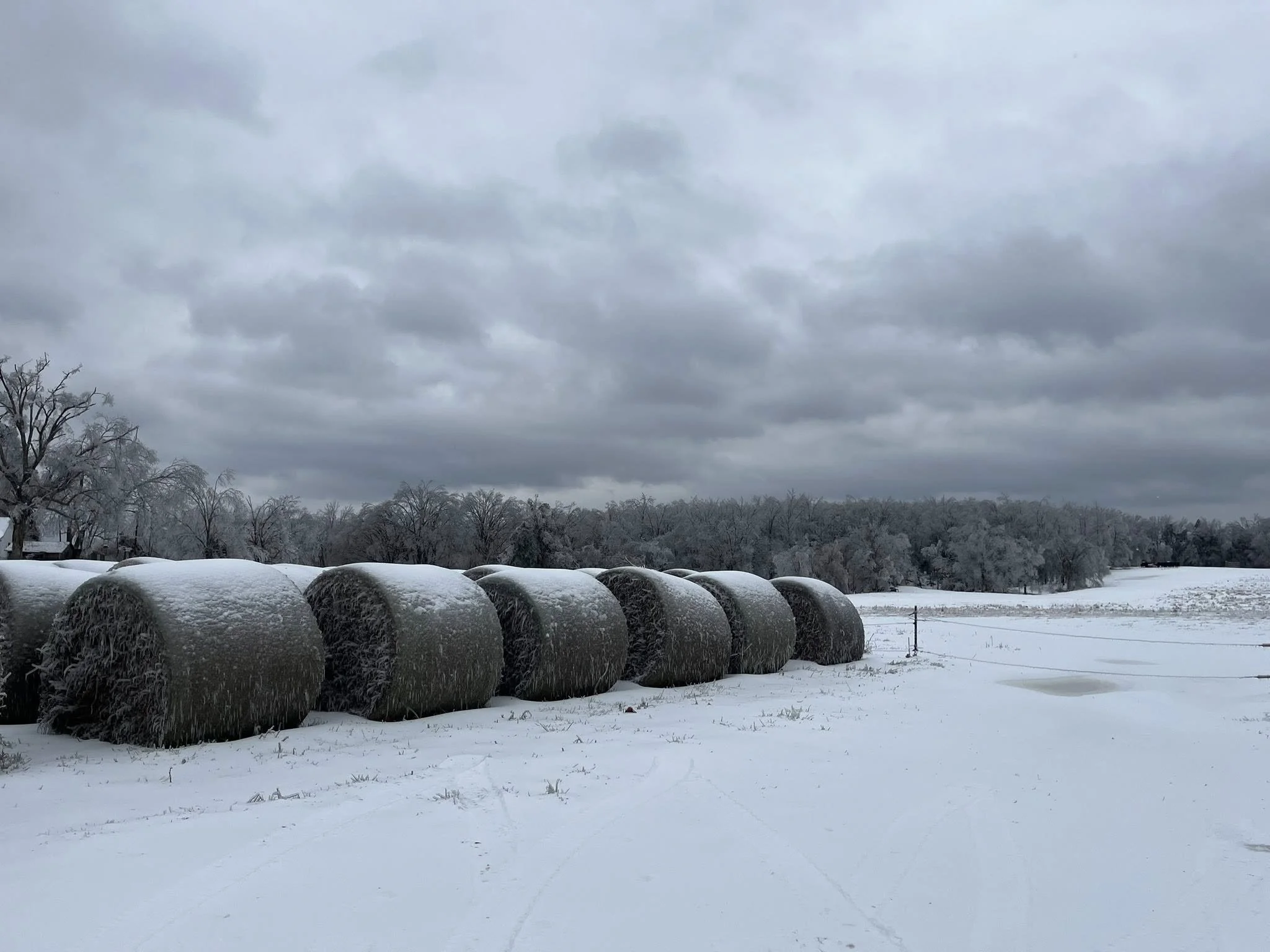 Record Breaking Winter Storm Fern Slams Farmers and Ranchers in 28 States
