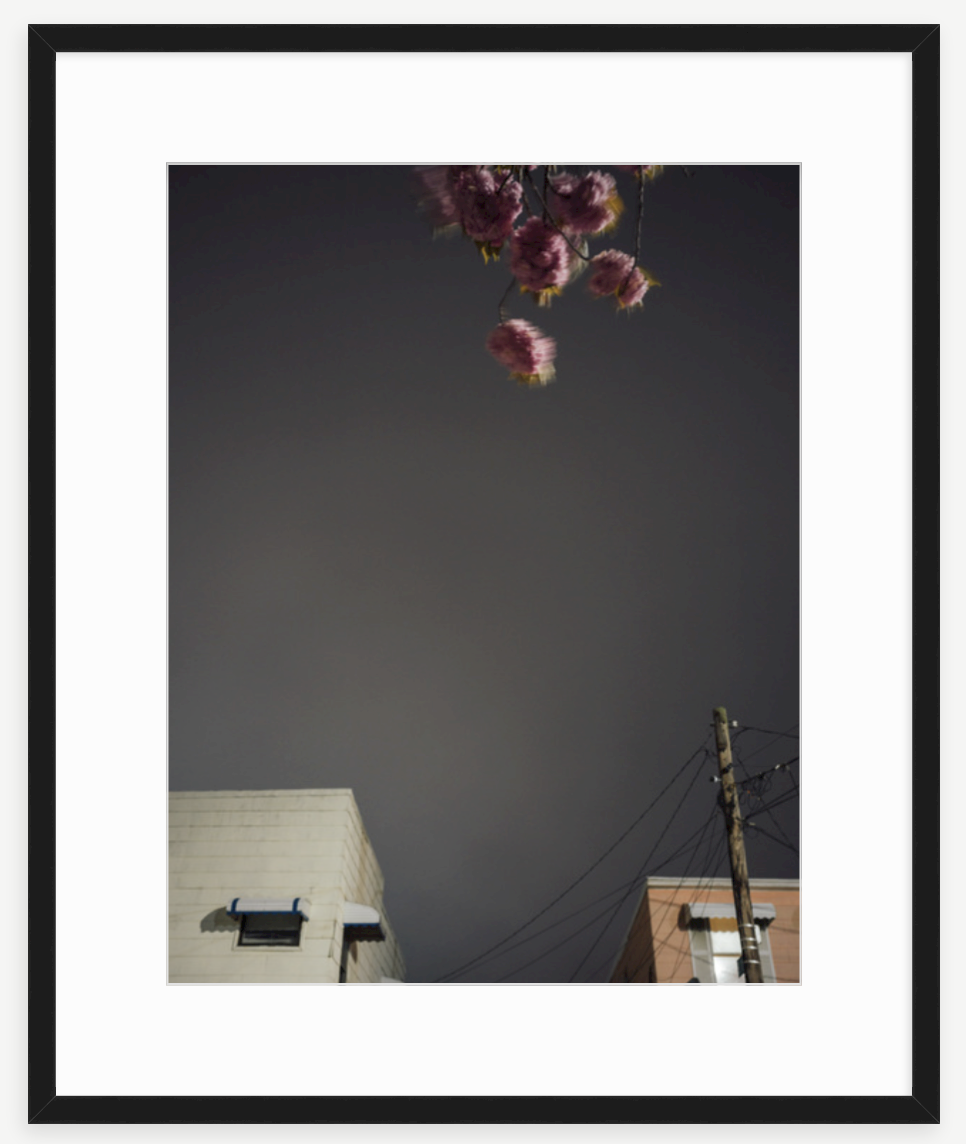 Screenshot 2019-06-14 13.19.42.png