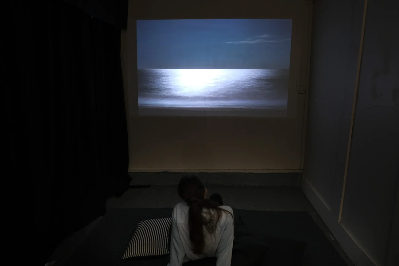 Installation shot from Fathom , 2019.