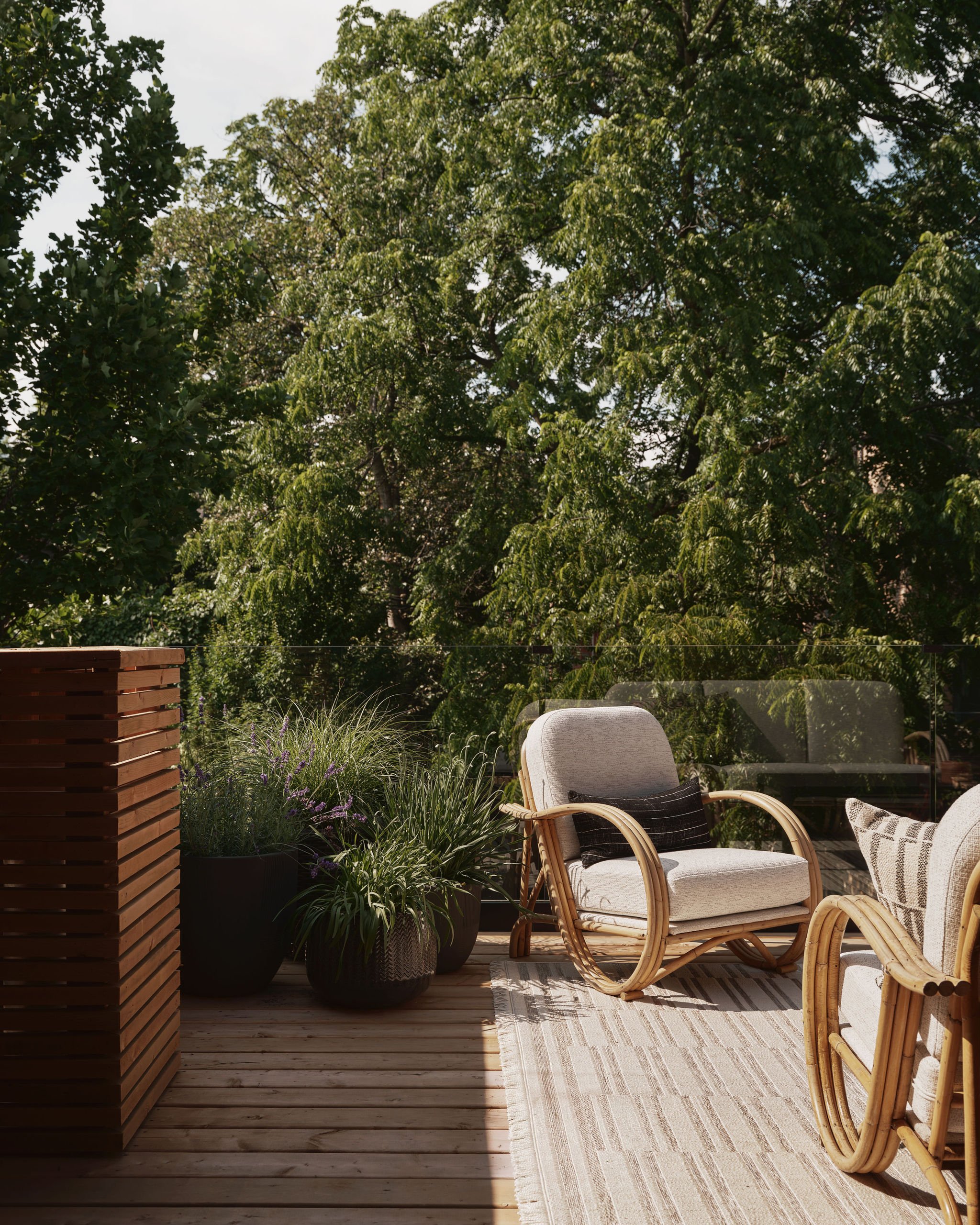 Birch-TOMDesign6089_1.jpg