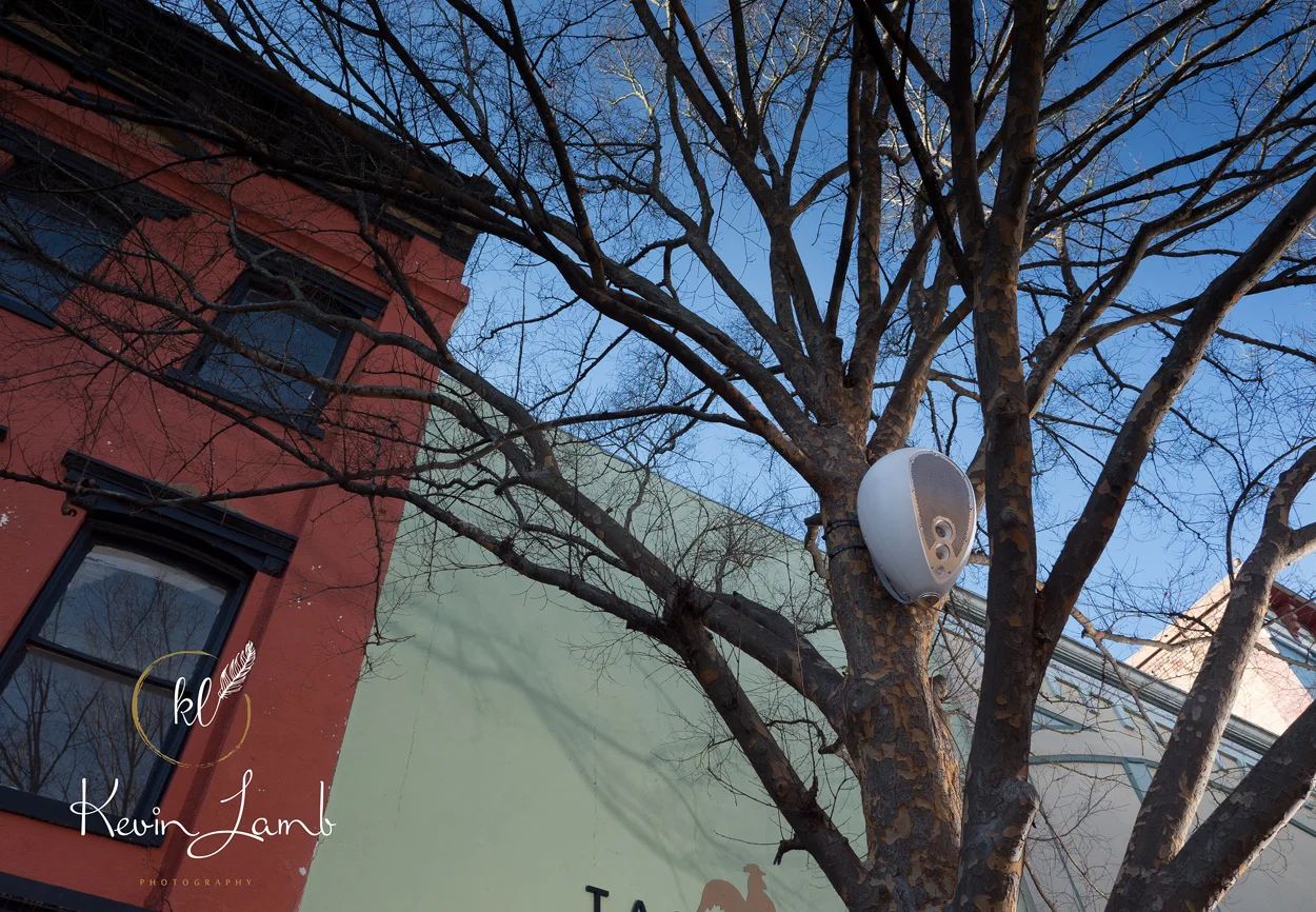 1.KevinLambPhotography-1310368.jpg