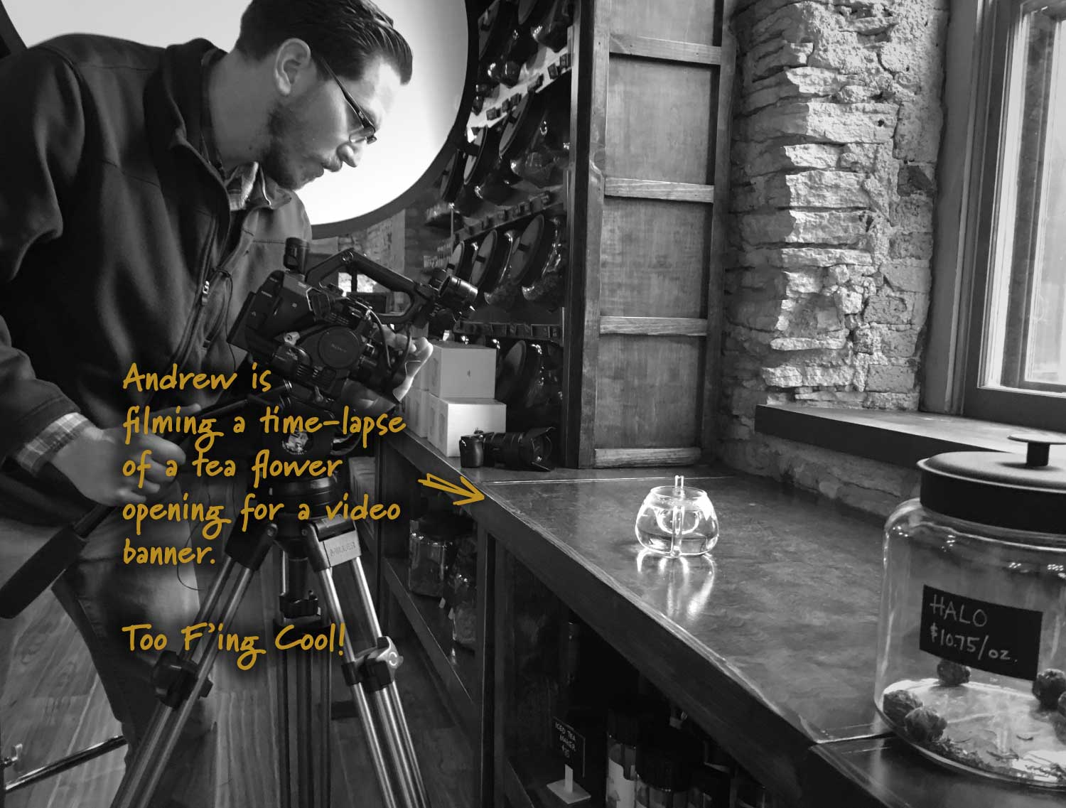 andrew-teatree-video-banner-b_noover.jpg