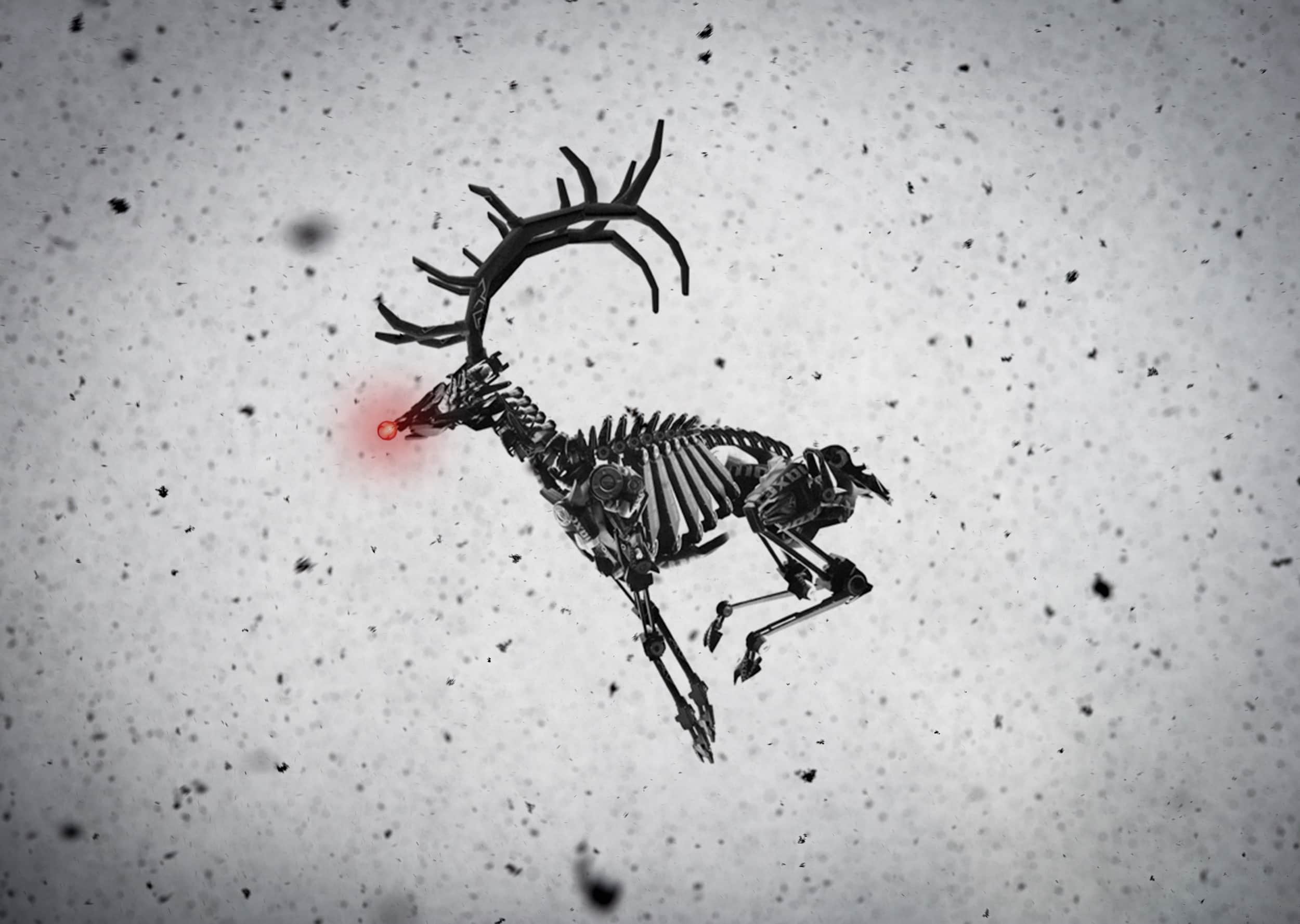 rudolph-storm-c_2500wJPG_noover.jpg
