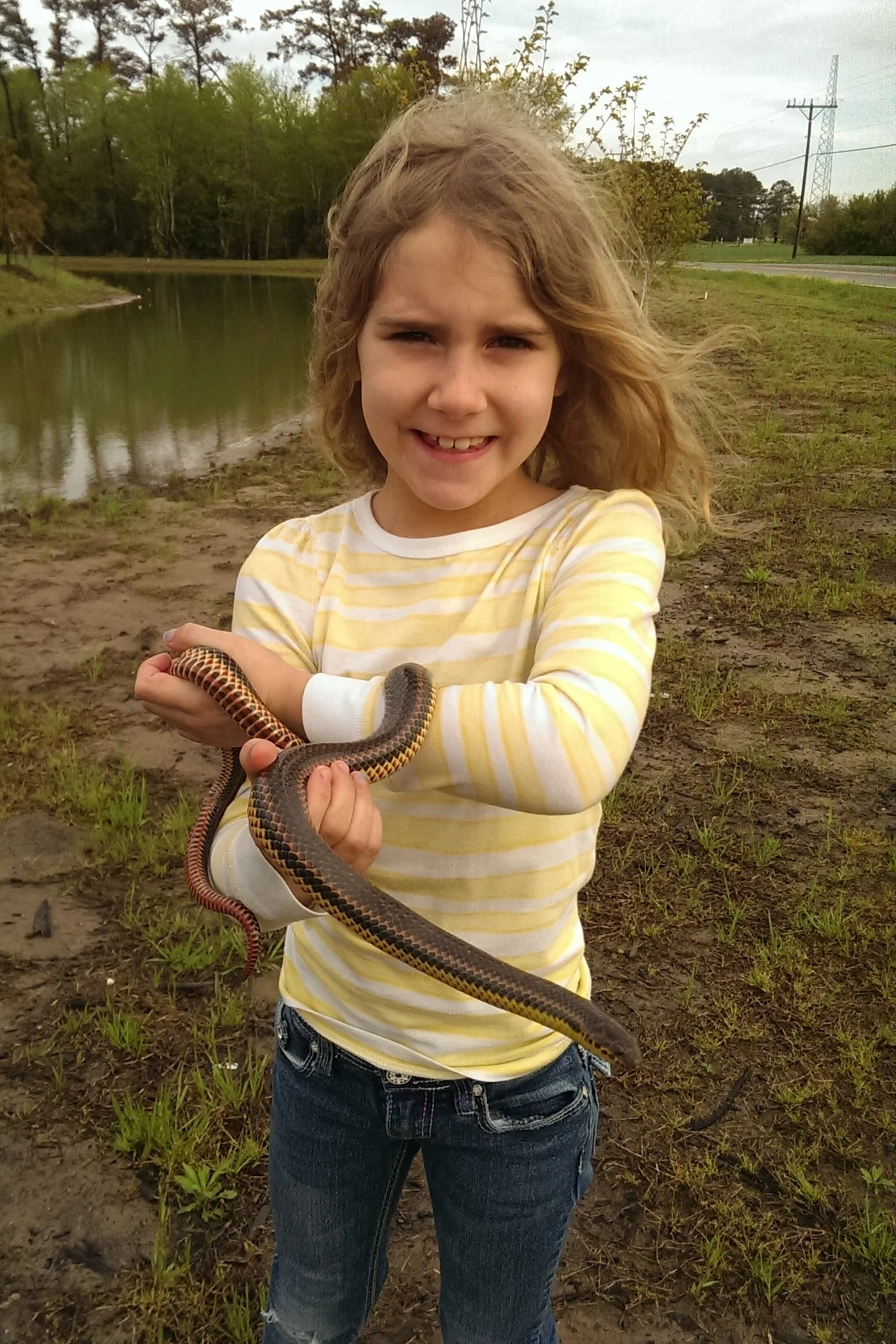 Common Rainbow Snake - I'm trying to keep the kid photos light, but this is a lifer Lily will enjoy having over her brothers for every second it stays that way.
