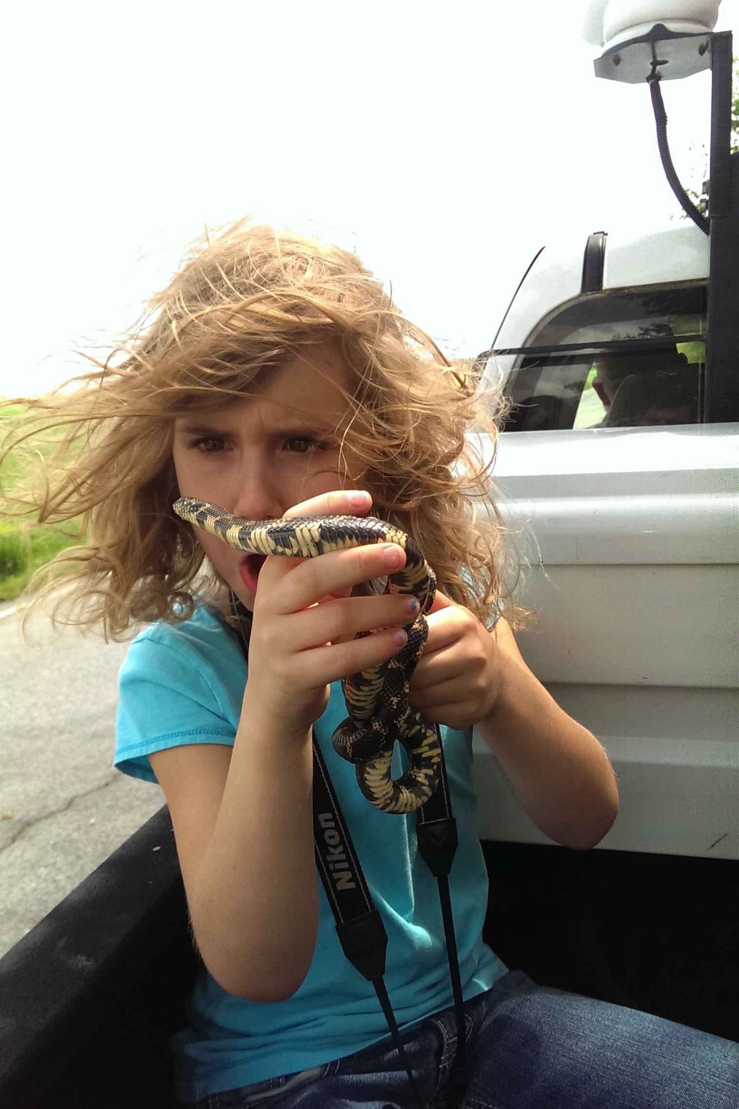 Eastern Kingsnake - Lily loved that snake and this crappy cell phone shot ended up being my favorite photo of 2015, hands down. We were getting a ride from a ranger in the back of his pick-up to release a different snake where it was found. This snake went on a little ride but was also returned to where it was found.