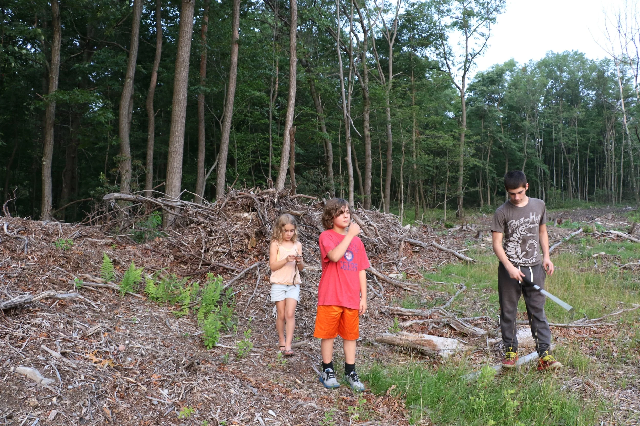 Habitat - The kids and I checked this habitat out. These brush piles looked great and sure enough, we found two sheds.