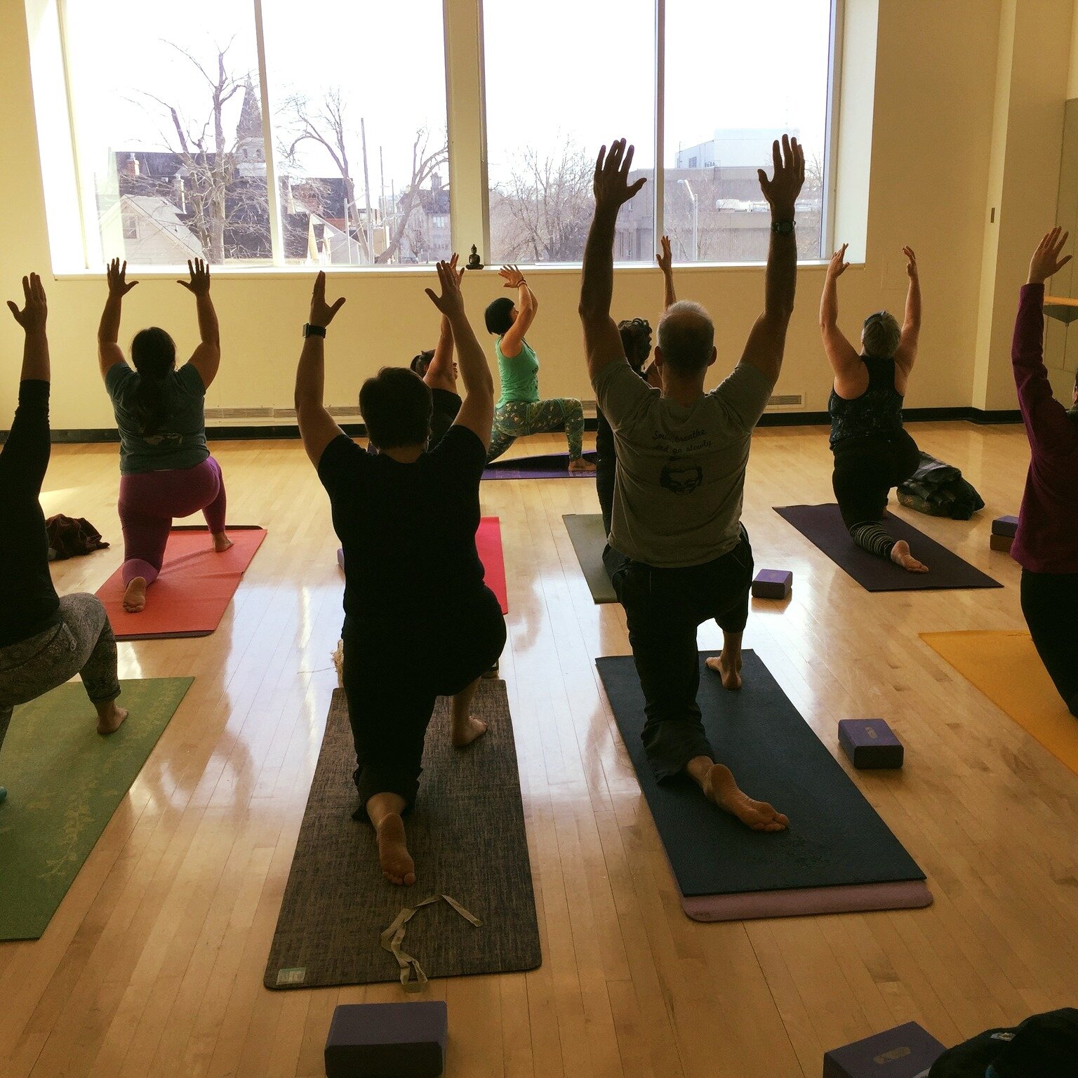 200hr Foundations Yoga Teacher Training - The Lab
