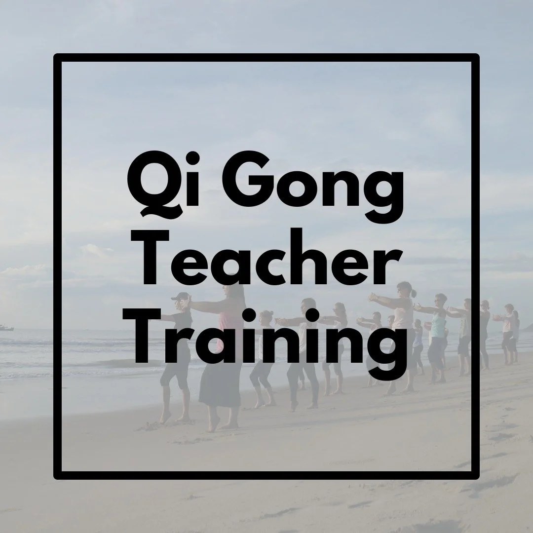 12-Day Qi Gong Teacher Training - Level 1 &amp; 2 in Mui Ne, Vietnam
August 12&ndash;24, 2026 

Imagine mornings beginning with sunrise meditation &amp; moving Qi through your body on the shore. Dive deep into ancient wisdom and modern teaching metho