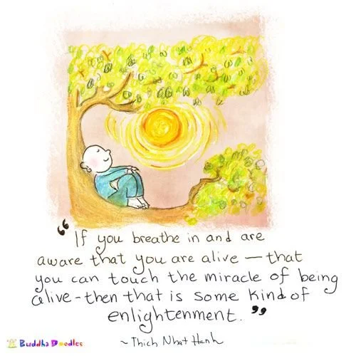 #MindfulMonday &ldquo;Enlightenment is always there. Small enlightenment will bring great enlightenment. If you breathe in and are aware that you are alive - that you can touch the miracle of being alive - then that is a kind of enlightenment&rdquo; 