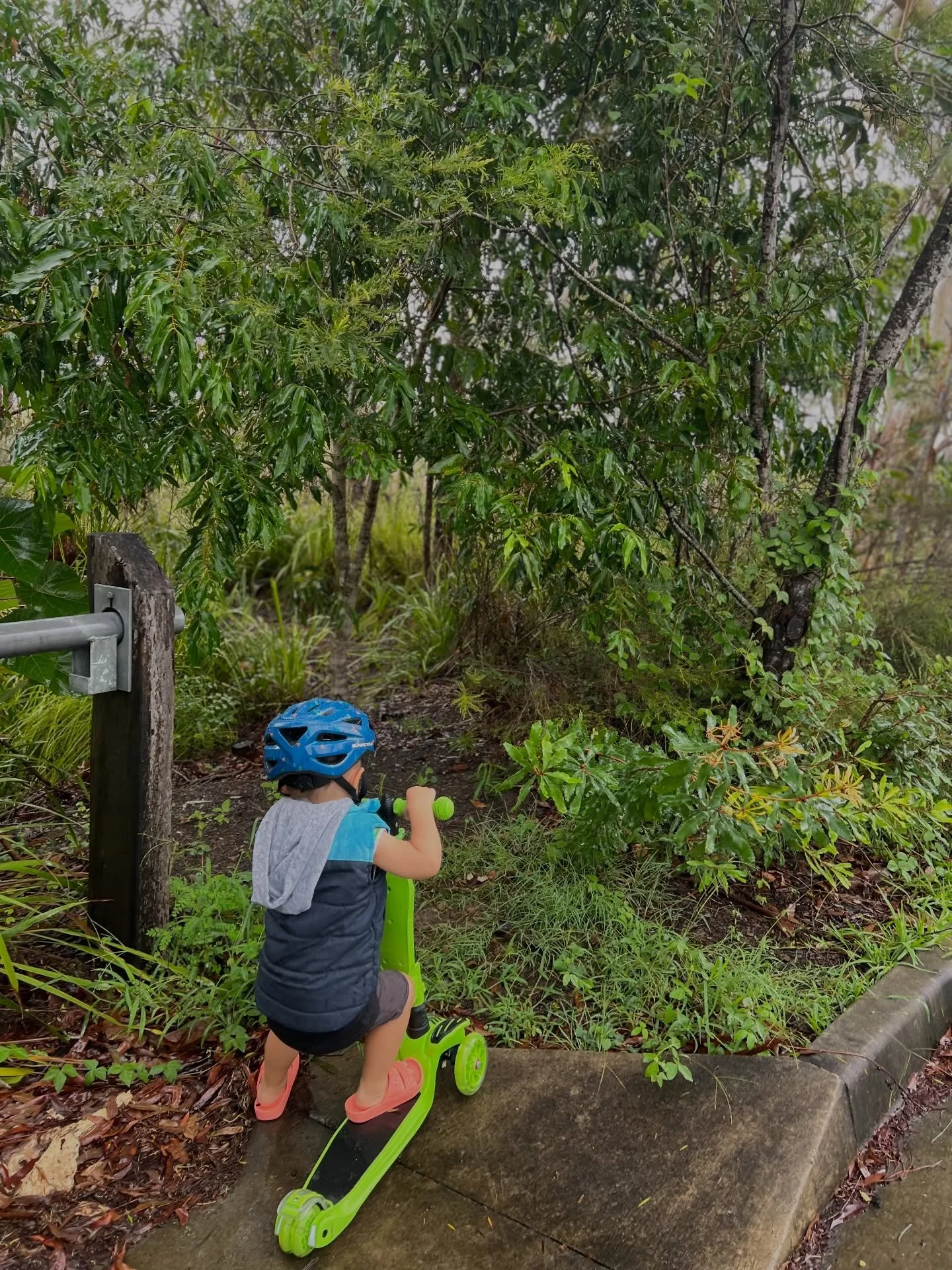 &ldquo;Why are you stopping, William?&rdquo;
&ldquo;To listen to the plants.&rdquo; Said our almost 3 yo. 
&ldquo;Oh, what are they saying?&rdquo;
&ldquo;Touch me gently.&rdquo;
#wisewords #mothernatureisspeaking