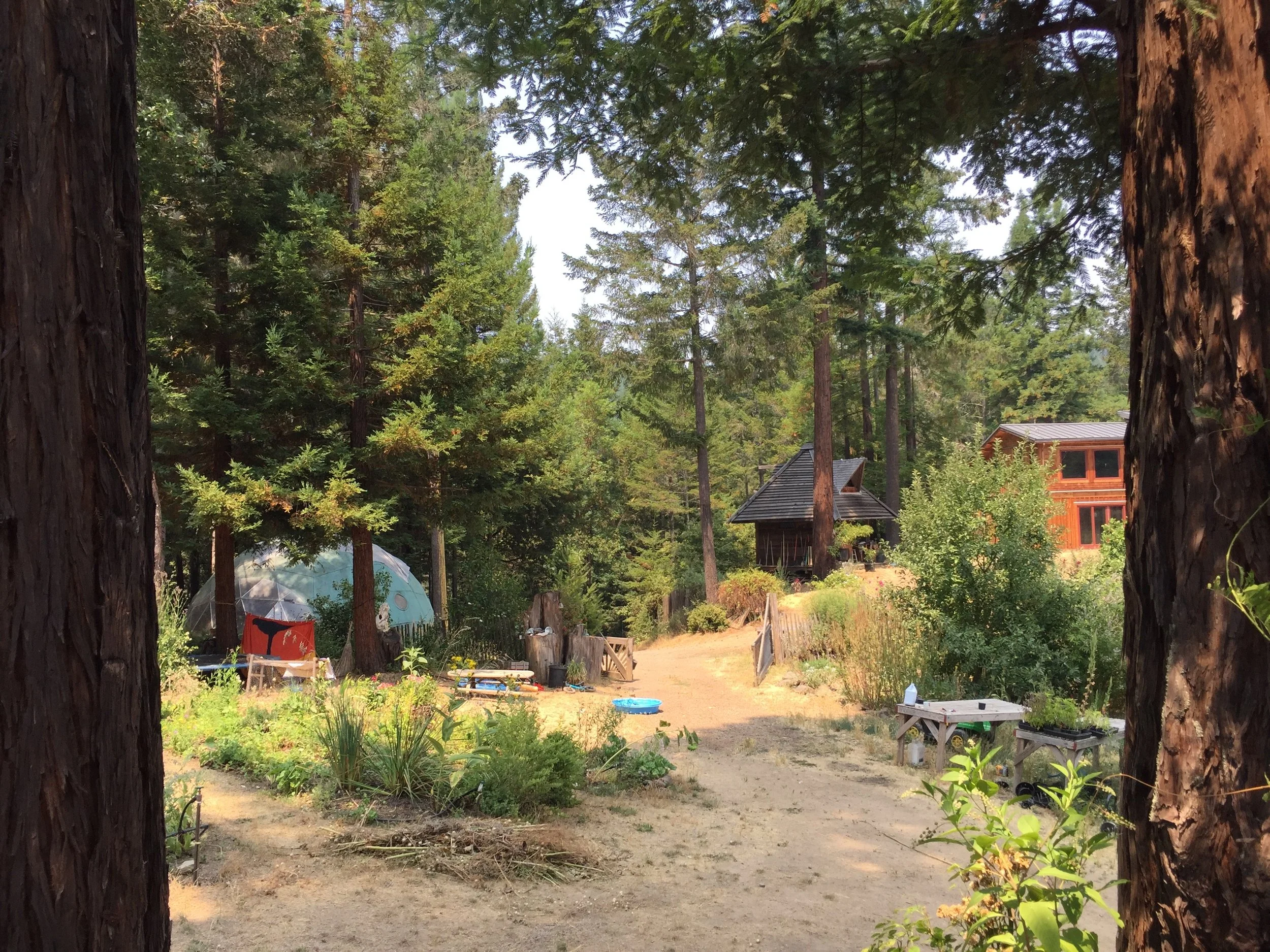 the farm this year