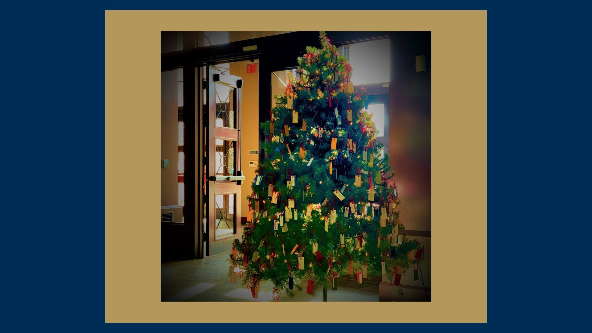 Giving Tree 2024