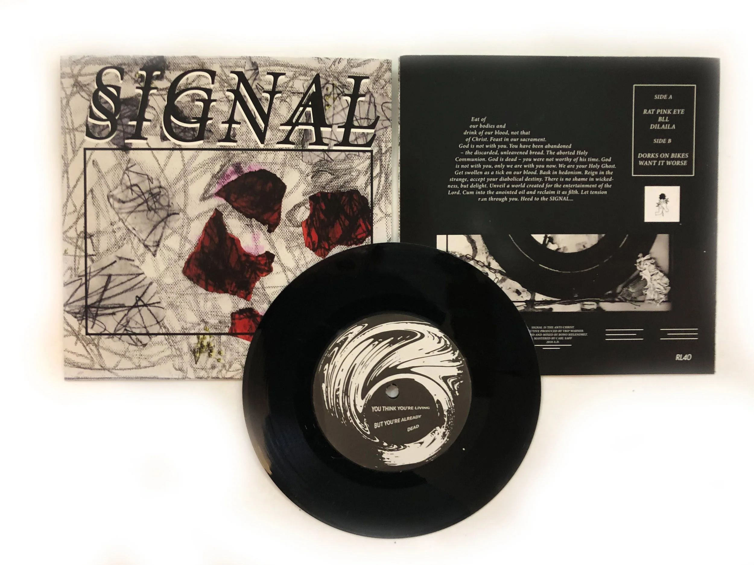 signal photo 2.jpg