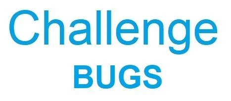 Challenge Bug 0.jpg