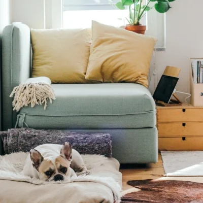 Homewares Brands: Making Yourself Understood Abroad.