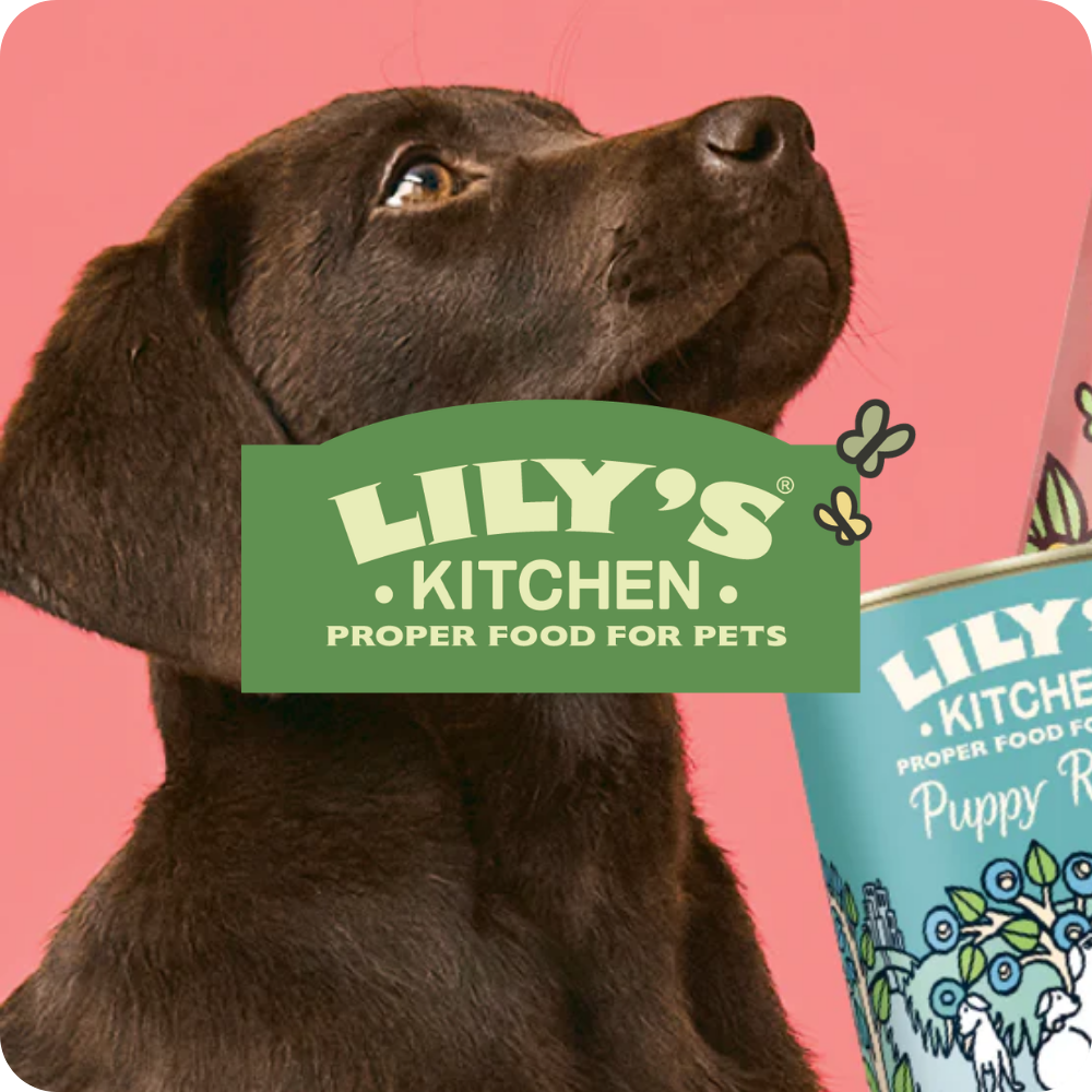 LILY’S KITCHEN Pet Food Case Study