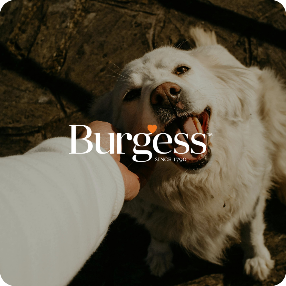 BURGESS Pet Food Case Study