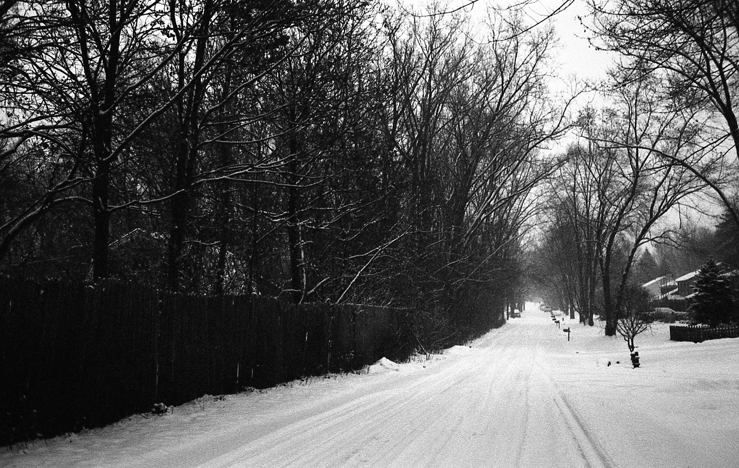 snow-5.jpg