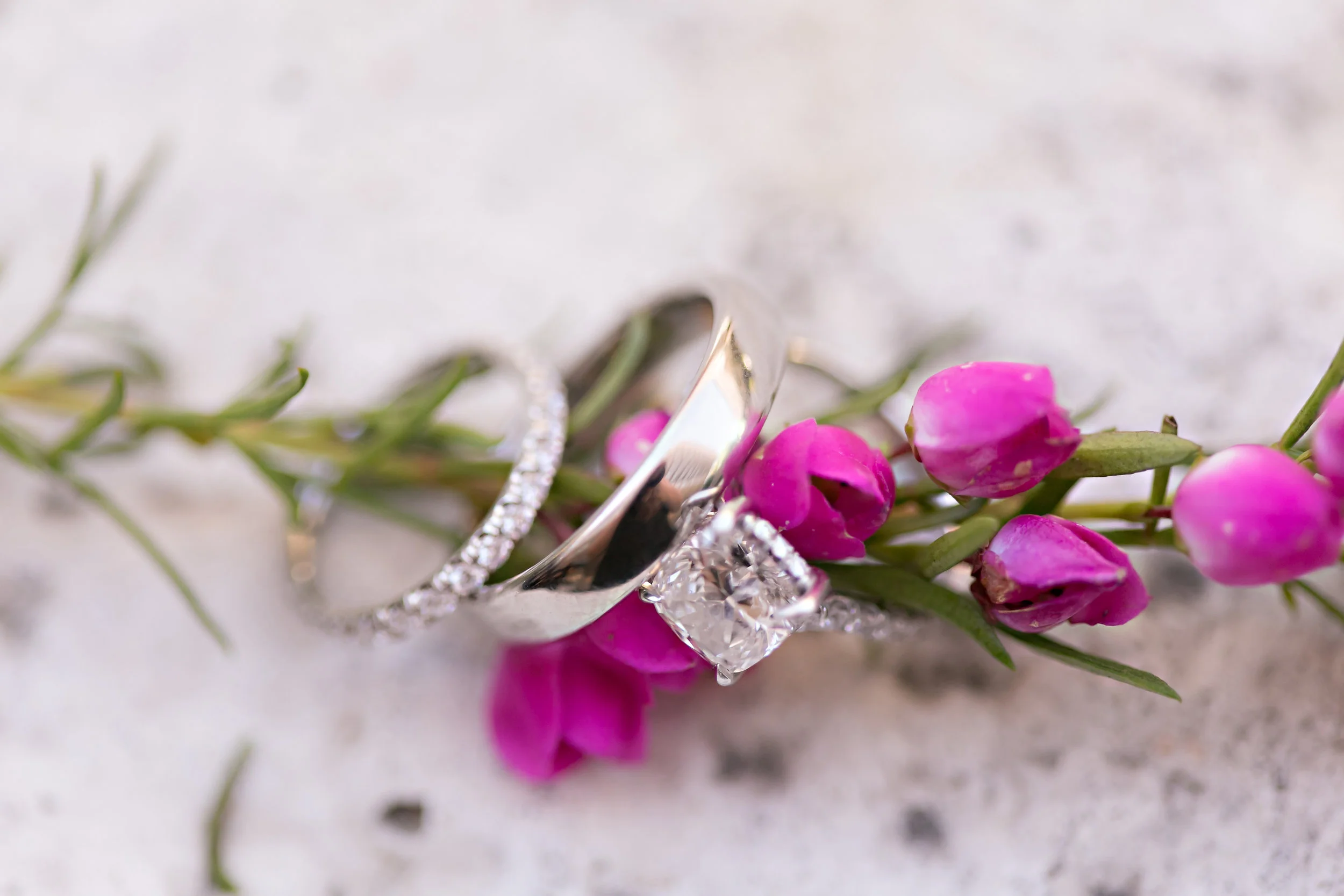 rosenburgwedding-52.jpg