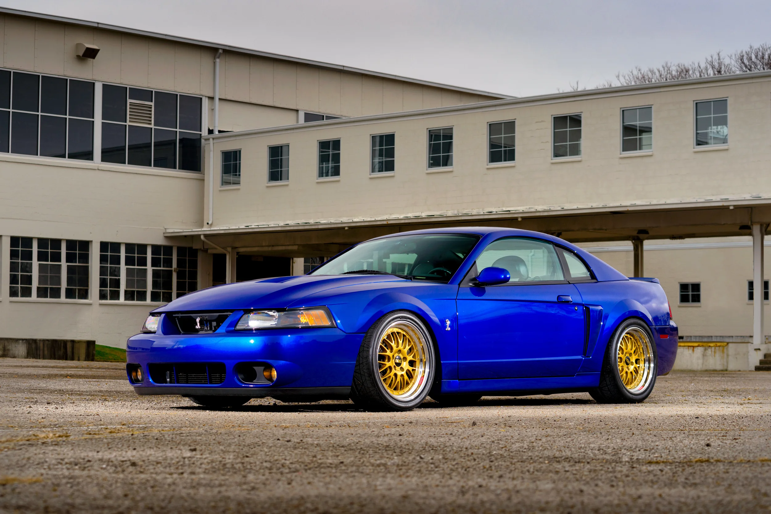 wdmp_141217_0049.jpg