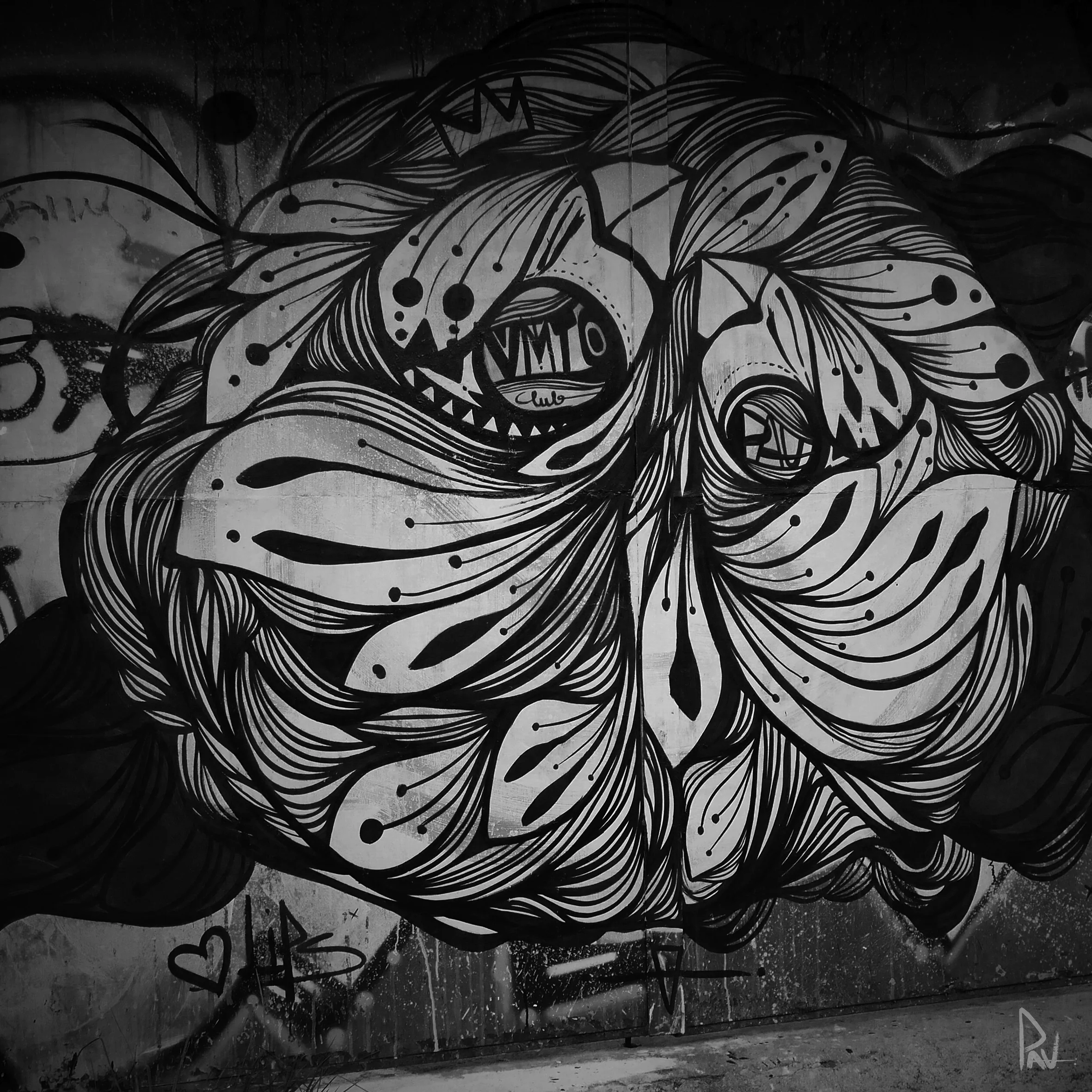 VALPARAISO - Mural painted at Cerro Alegre, Valparaiso-Chile 2016