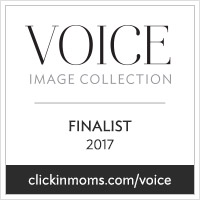 2017VoiceCollection_Finalist_badge 2.jpg