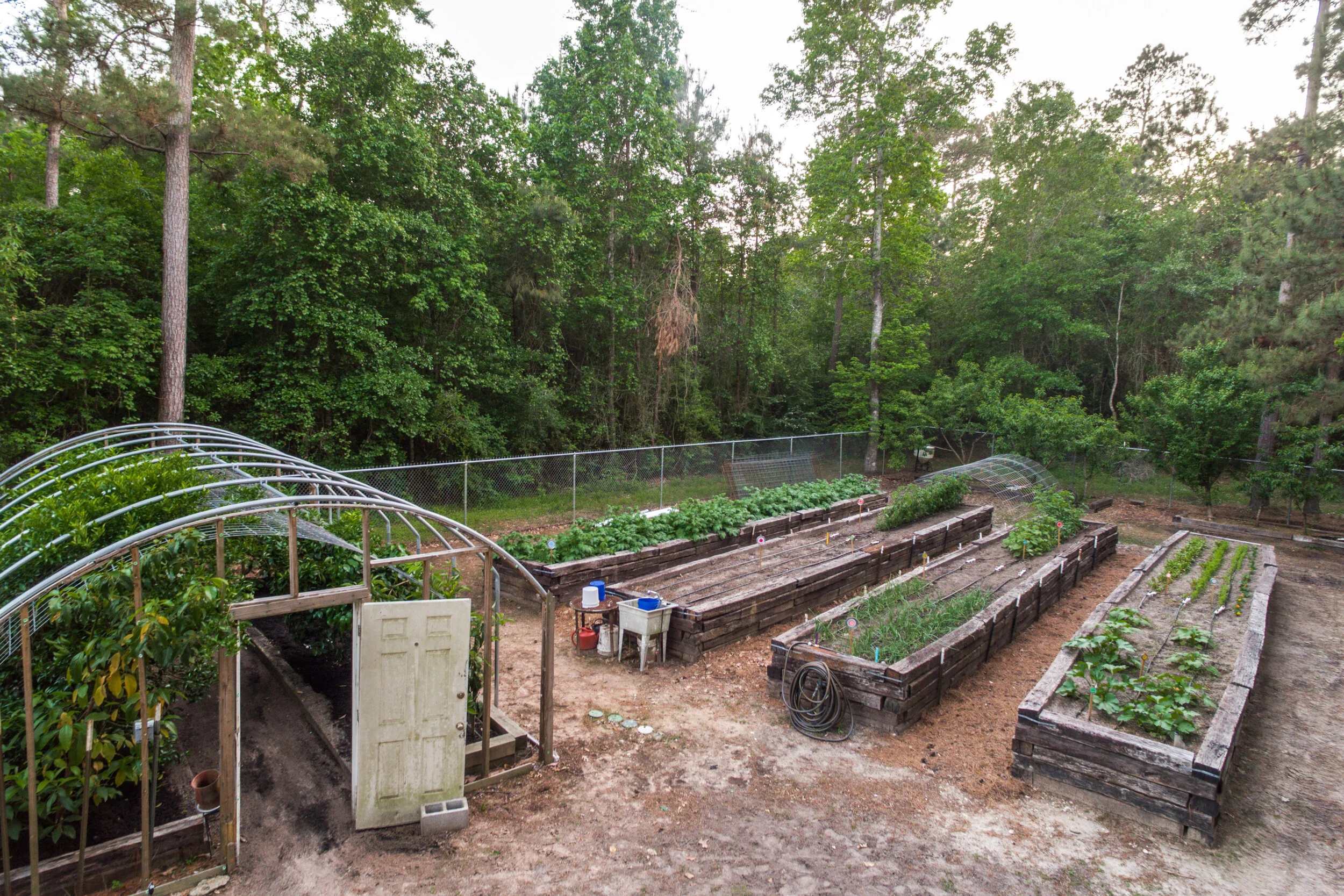 15904-barbara-ln-magnolia-tx-High-Res-55.jpg