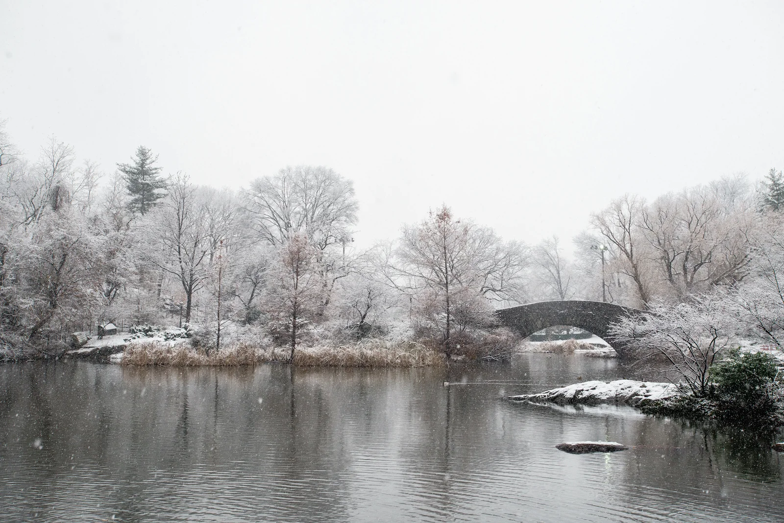 END OF THE YEAR MUSINGS