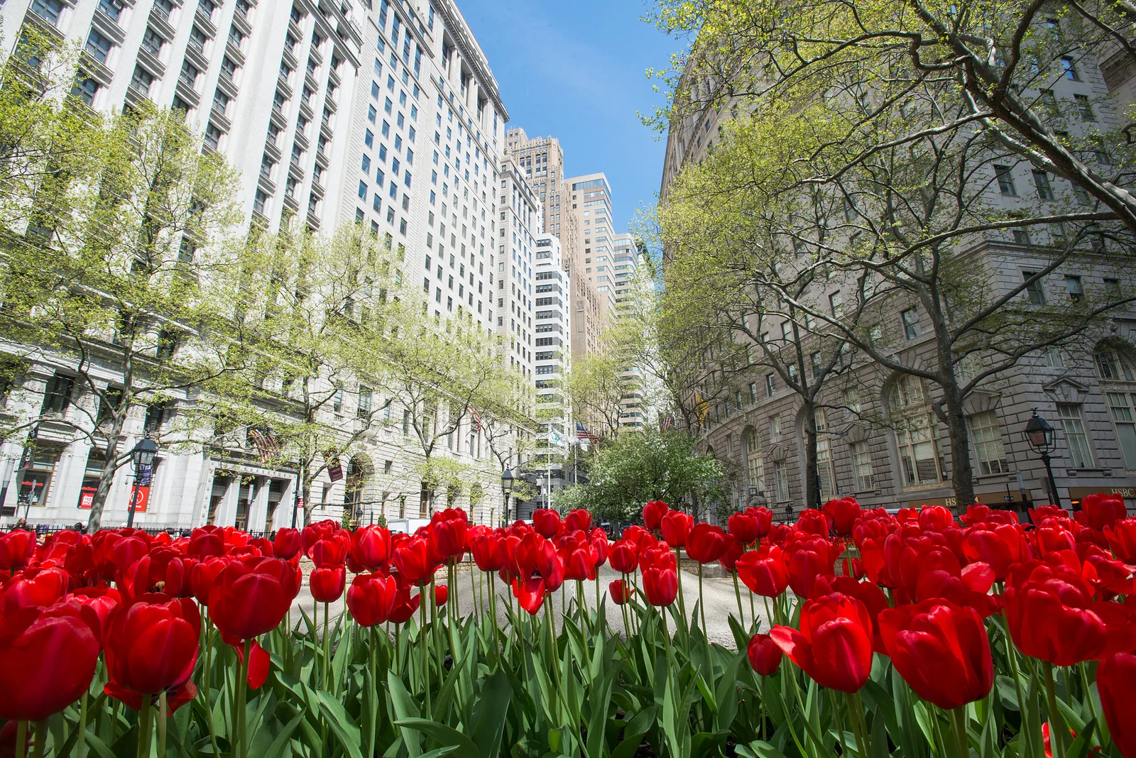 THE BUYER'S ADVANTAGE