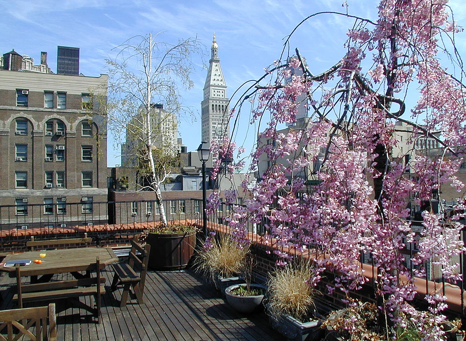 SPRING INTO STRONG SALES 