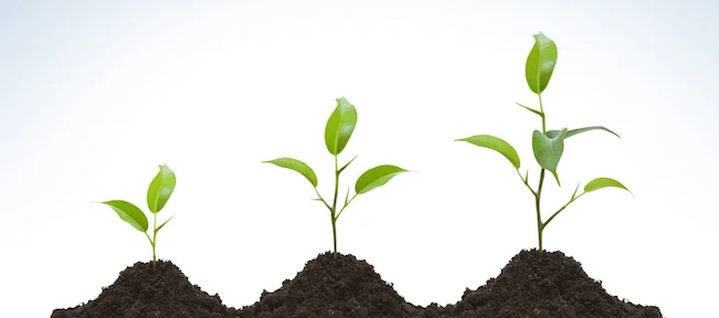 growth.jpg