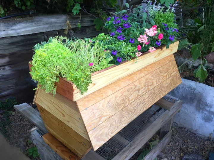 The Cathedral Hive by Back Yard Hive