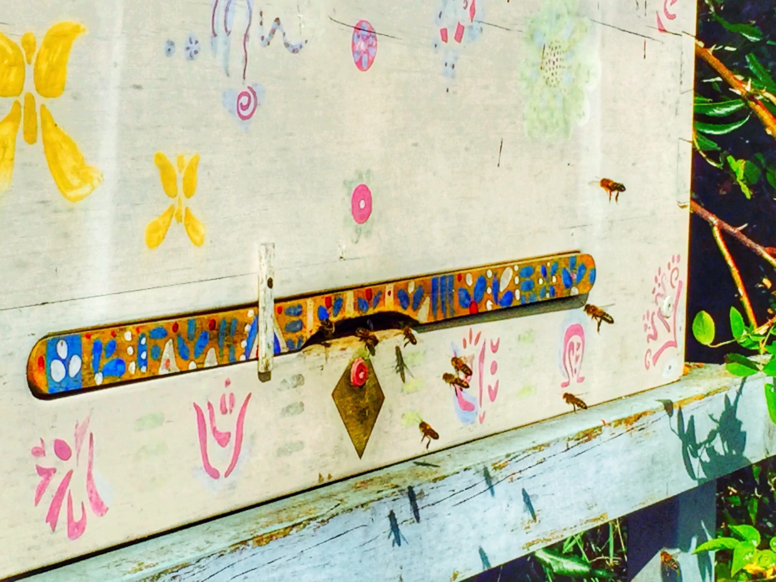 The Natural Beekeeping Trust — Honey Bee Wild