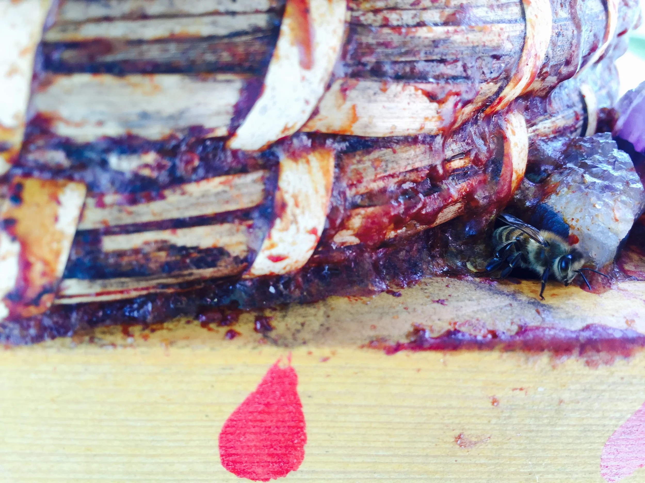 A bee peaks out of one of the hive's many entrances fortified with stones and propolis.