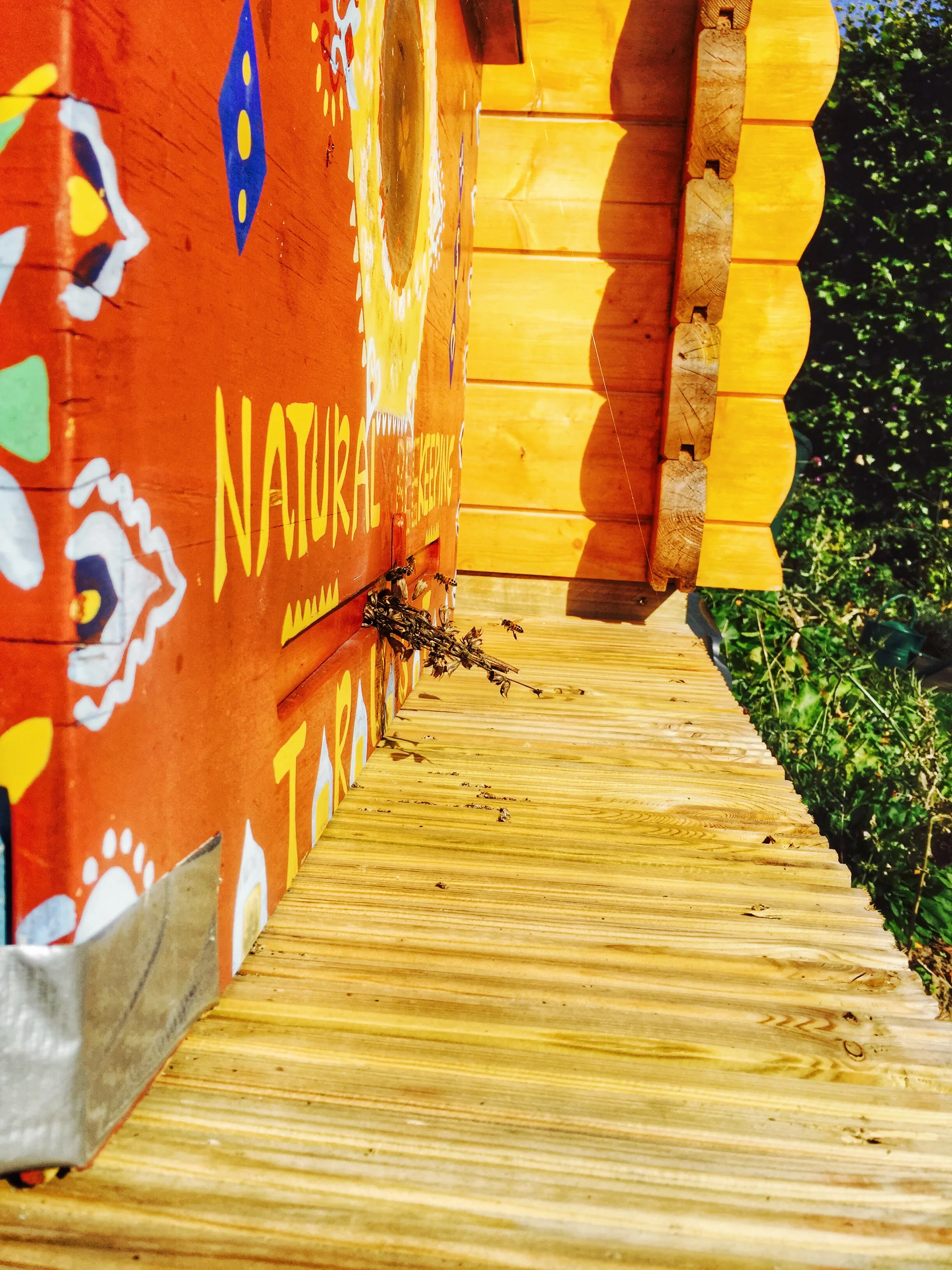 AriellaDaly_orange_entrance