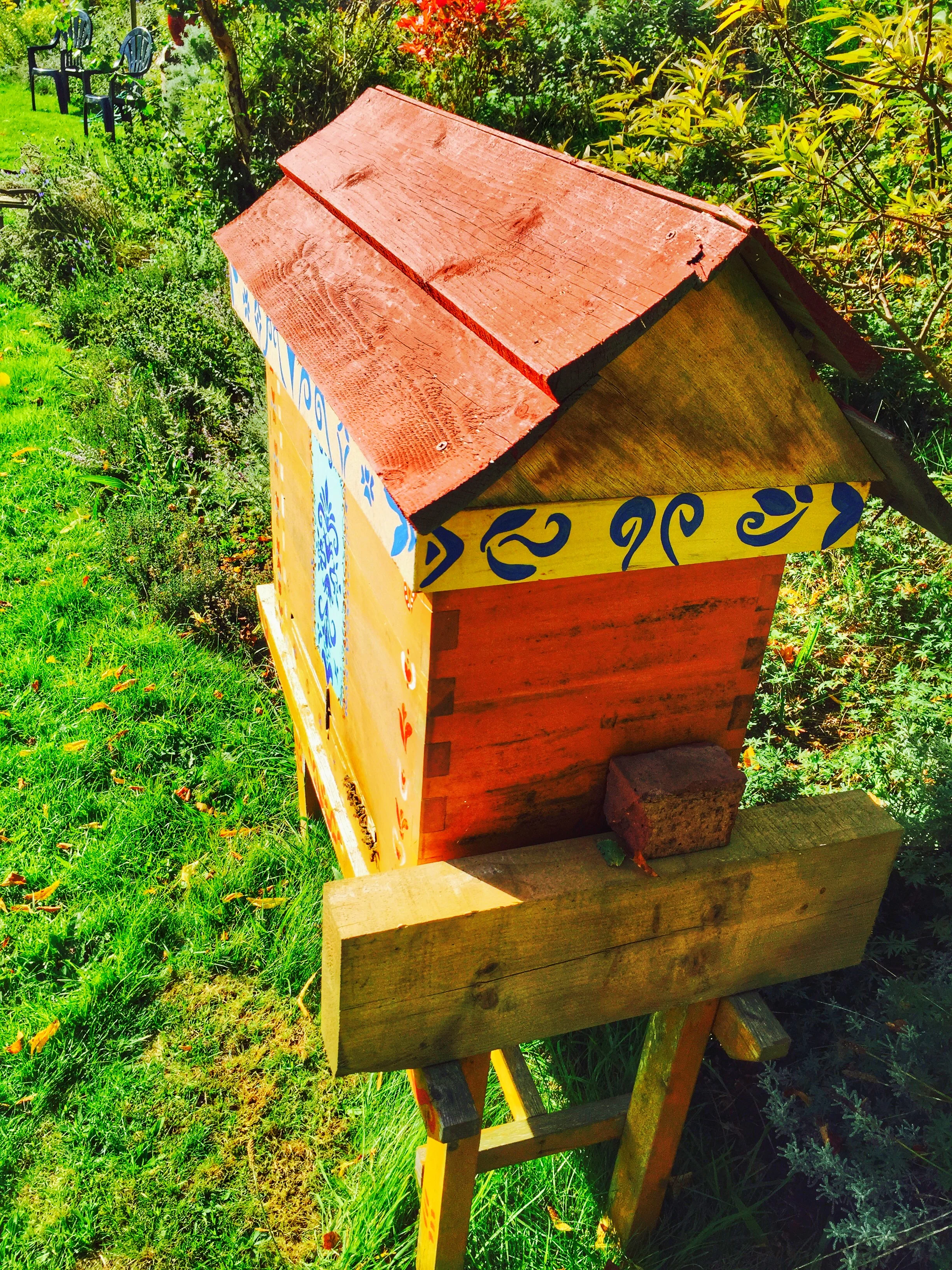 AriellaDaly_yellow&orange